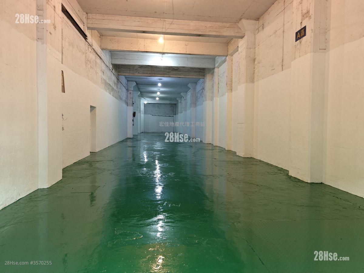 大强货仓 租盘
