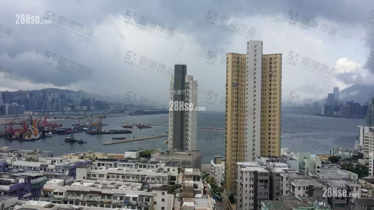 津汇 租盘 2 房 , 1 浴室 535 平方尺 ( 49.7 平方米 )