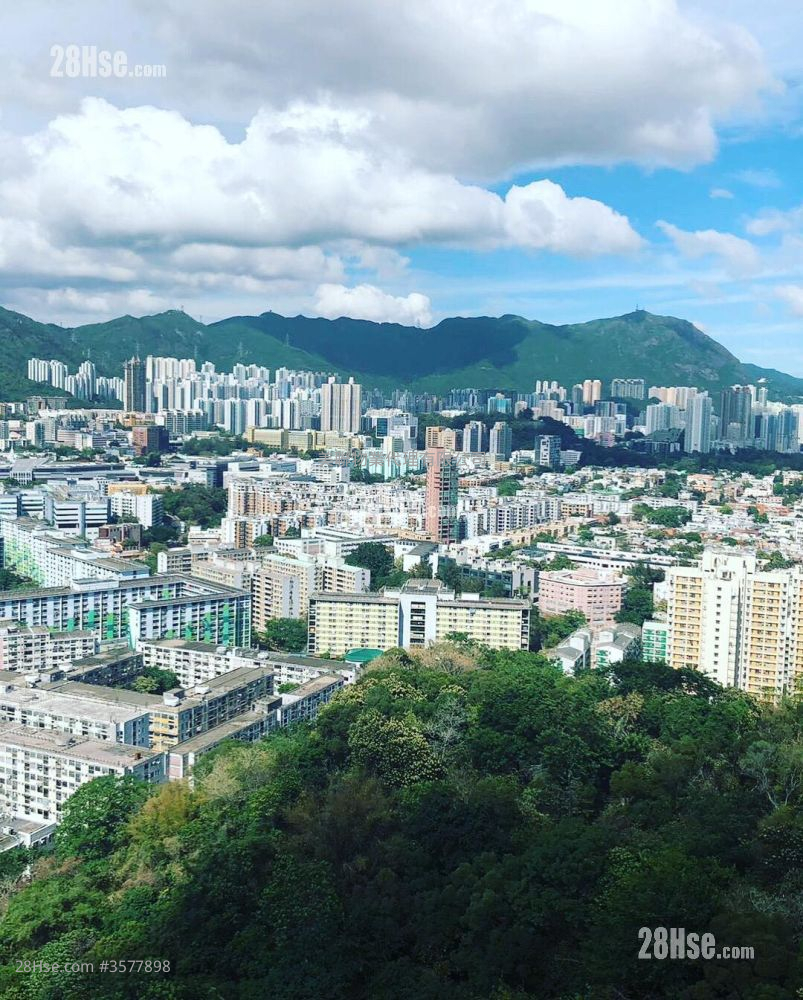 景怡峰 售盘 1 房 , 1 浴室 269 平方尺 ( 25.0 平方米 )