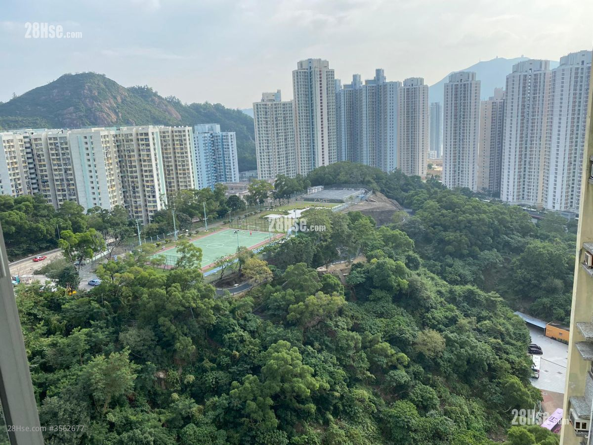 康瑞苑 售盘 559 平方尺 ( 51.9 平方米 )