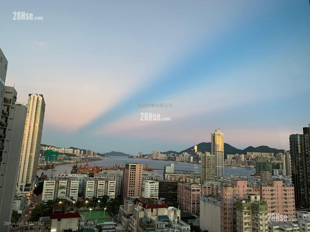 Downtown 38 租盘 1 房 , 1 浴室 300 平方尺 ( 27.9 平方米 )