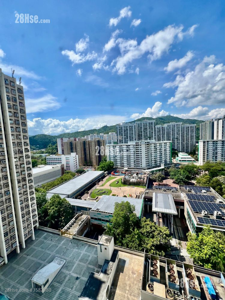 翠屏花园 租盘 1 房 , 1 浴室 262 平方尺 ( 24.3 平方米 )
