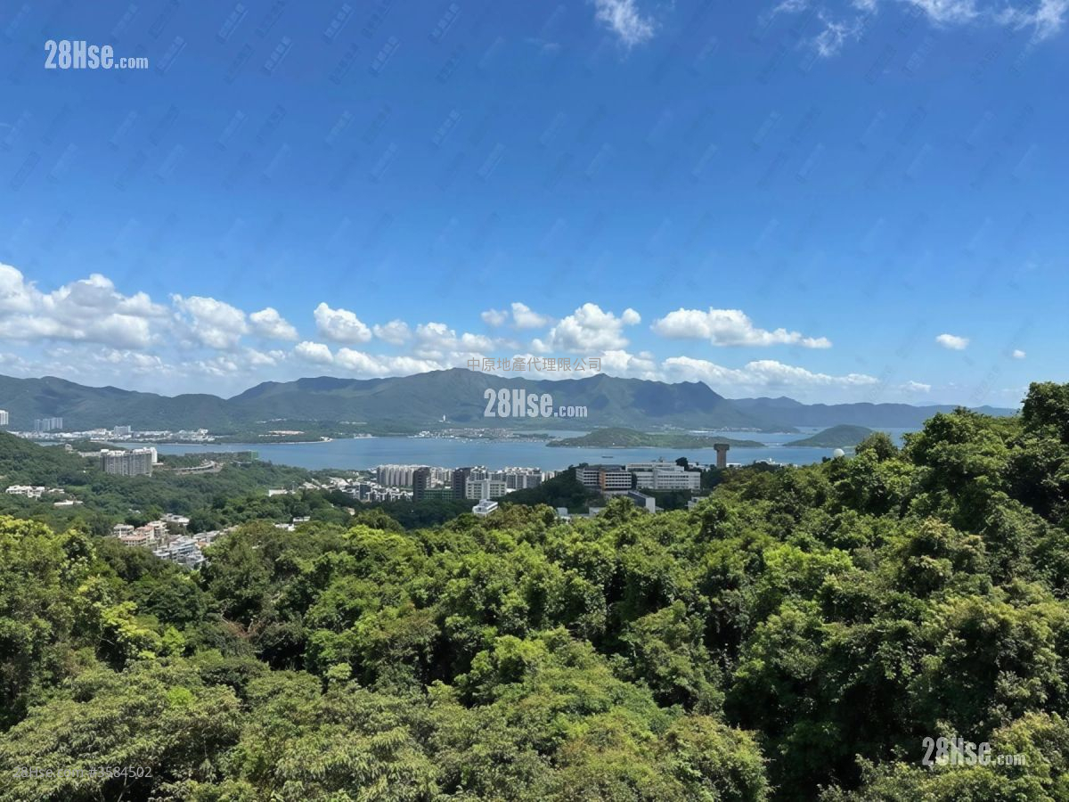 澐沣 售盘 3 房 , 3 浴室 2,100 平方尺 ( 195.1 平方米 )