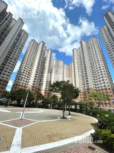 富欣花园 售盘 2 房 484 平方尺 ( 45.0 平方米 )