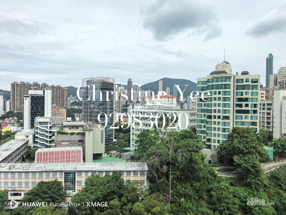Brilliant Court Rental 2 Bedrooms , 1 Bathroom 405 ft² ( 37.6 m² )