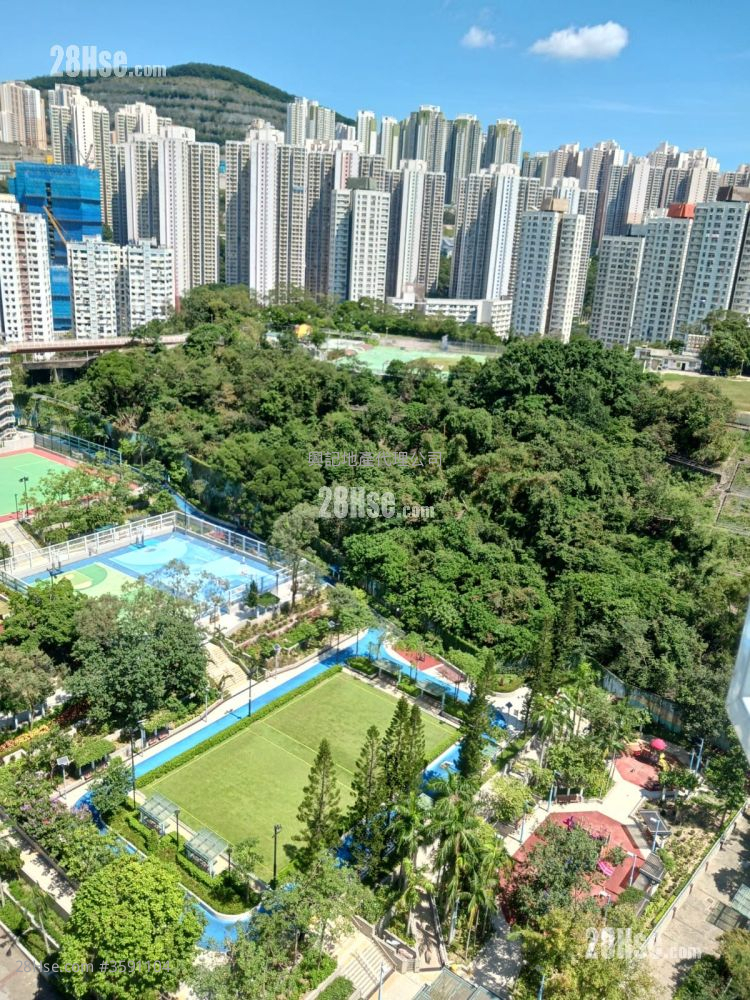 康丽园 租盘 2 房 , 1 浴室 451 平方尺 ( 41.9 平方米 )