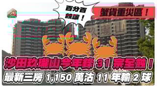 蟹货重灾区丨沙田玖珑山今年录31宗全蚀！最新三房1,150万沽 11年输2球