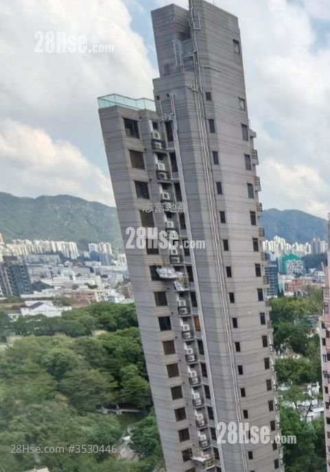 富威花园 租盘 1 房 , 1 浴室 260 平方尺 ( 24.2 平方米 )