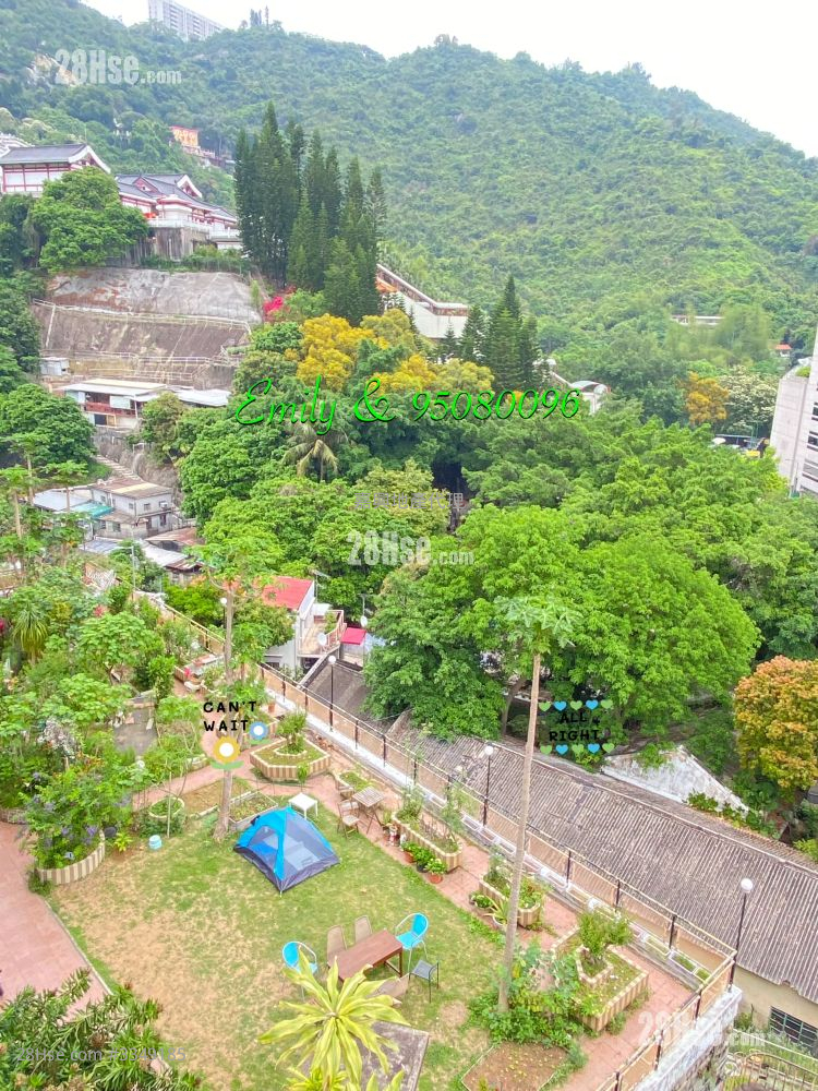 排头村 售盘 3 房 , 2 浴室 800 平方尺 ( 74.3 平方米 )