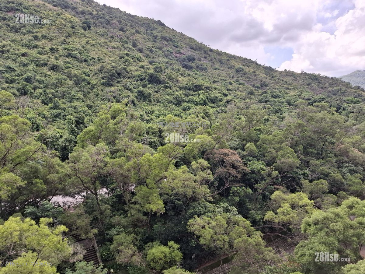 Chevalier Garden Sell 3 Bedrooms , 1 Bathroom 595 ft² ( 55.3 m² )