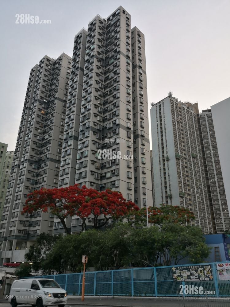 康涛阁 租盘