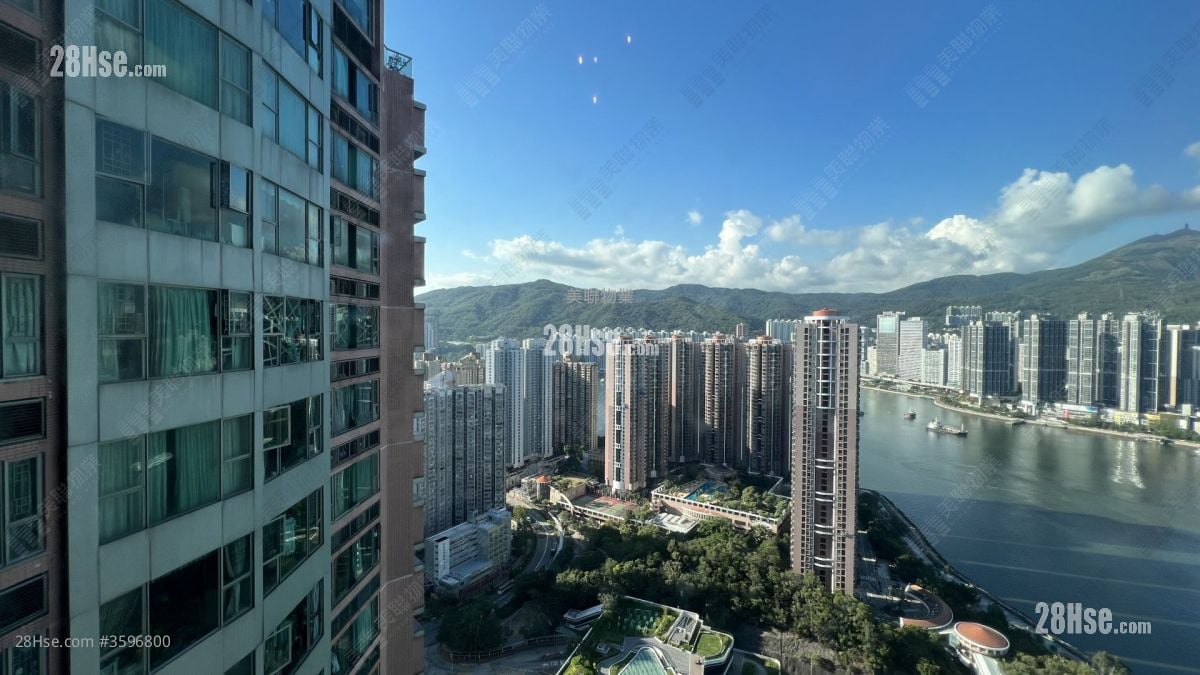 Tierra Verde Rental 515 ft² ( 47.8 m² )
