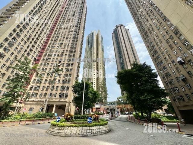 龙蟠苑 租盘 1 房 , 1 浴室 353 平方尺 ( 32.8 平方米 )