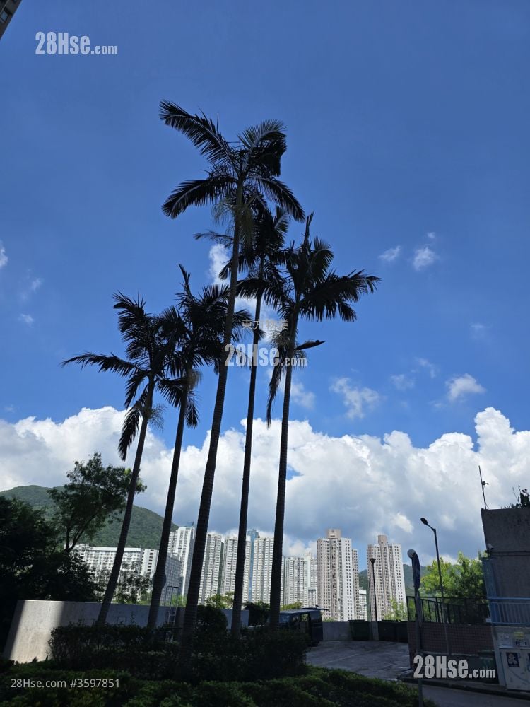 大堂行出门口的景观