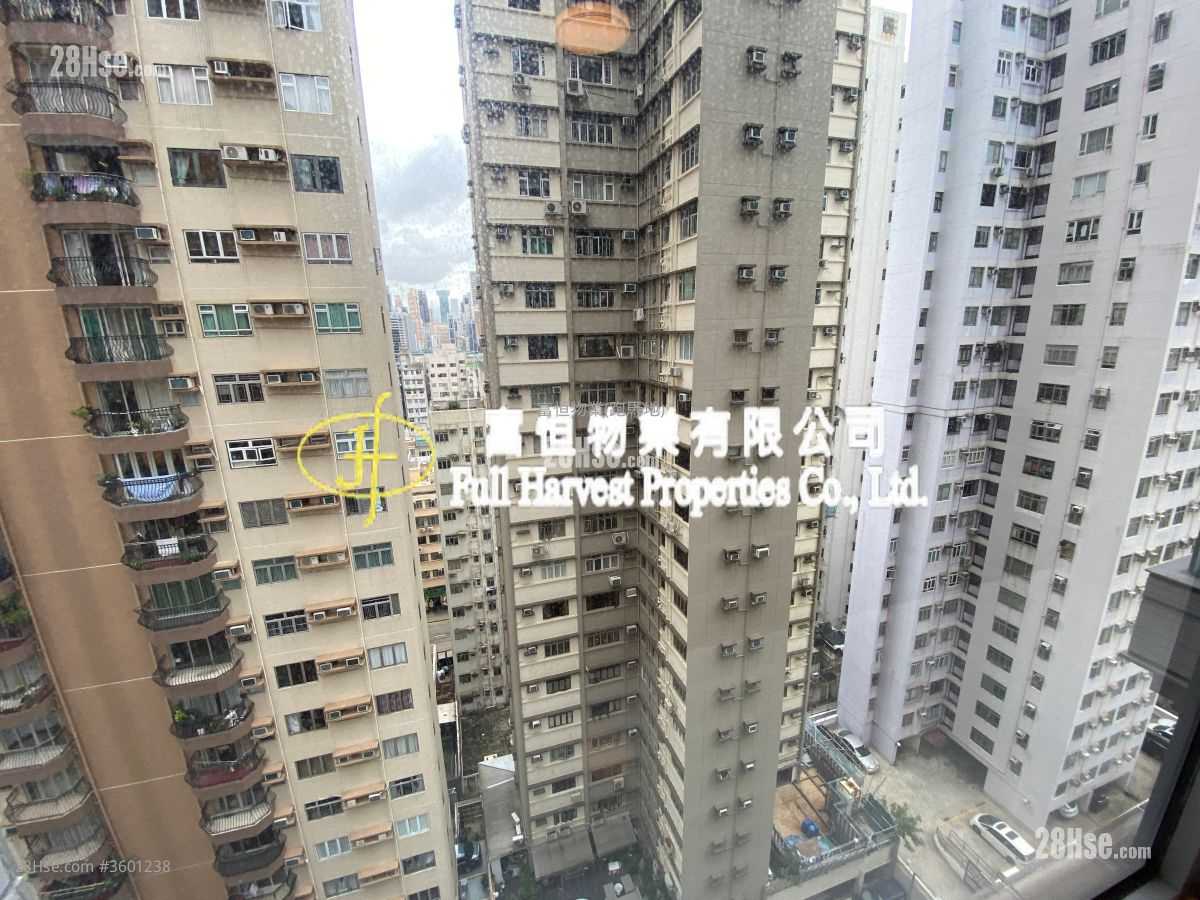 宝华阁 租盘 1 房 , 1 浴室 482 平方尺 ( 44.8 平方米 )