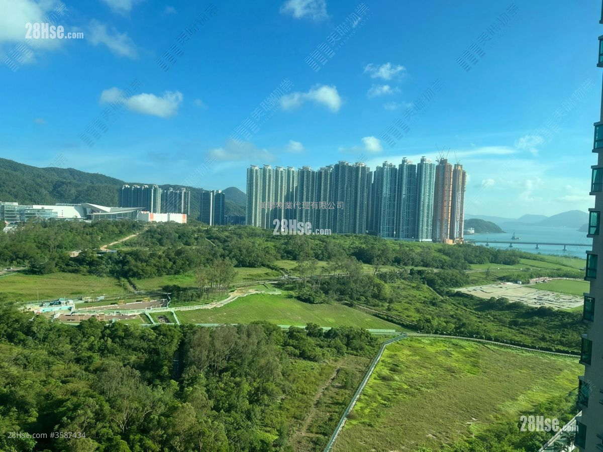 清水湾半岛 售盘 3 房 608 平方尺 ( 56.5 平方米 )