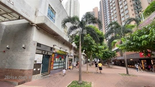 盈丰园 售盘 3 房 , 1 浴室 513 平方尺 ( 47.7 平方米 ) 盈丰园 售盘 3 房 , 1 浴室 513 平方尺 ( 47.7 平方米 )