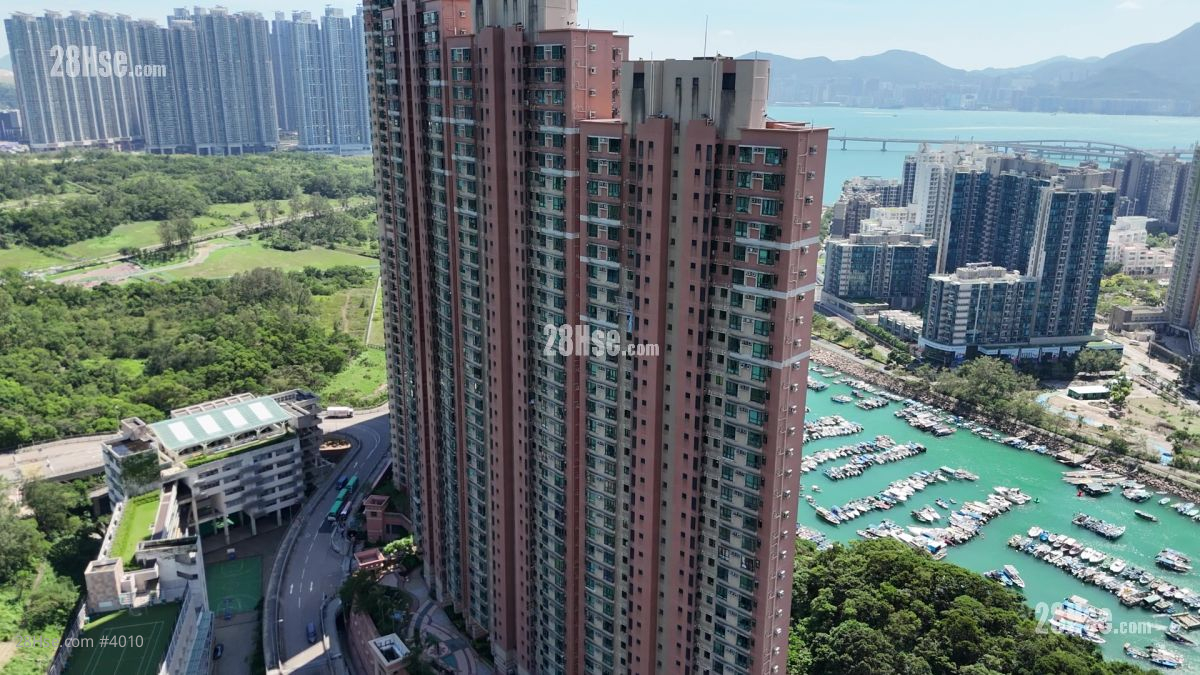 清水湾半岛 大厦 清水湾半岛 大厦