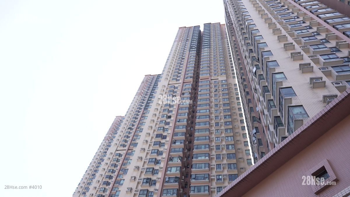 清水湾半岛 大厦 清水湾半岛 大厦
