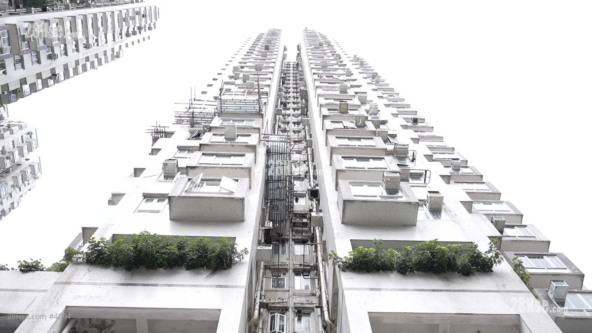 金狮花园 大厦 金狮花园 大厦