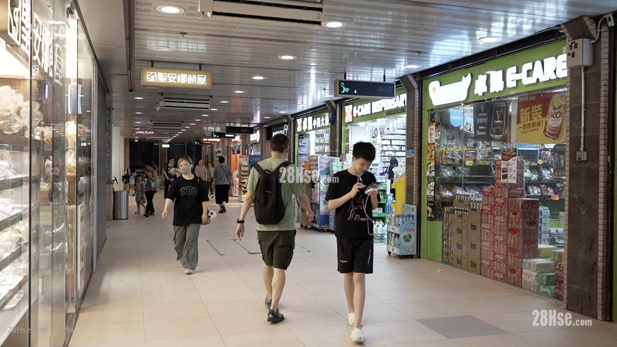 金狮花园 商场 金狮花园 商场