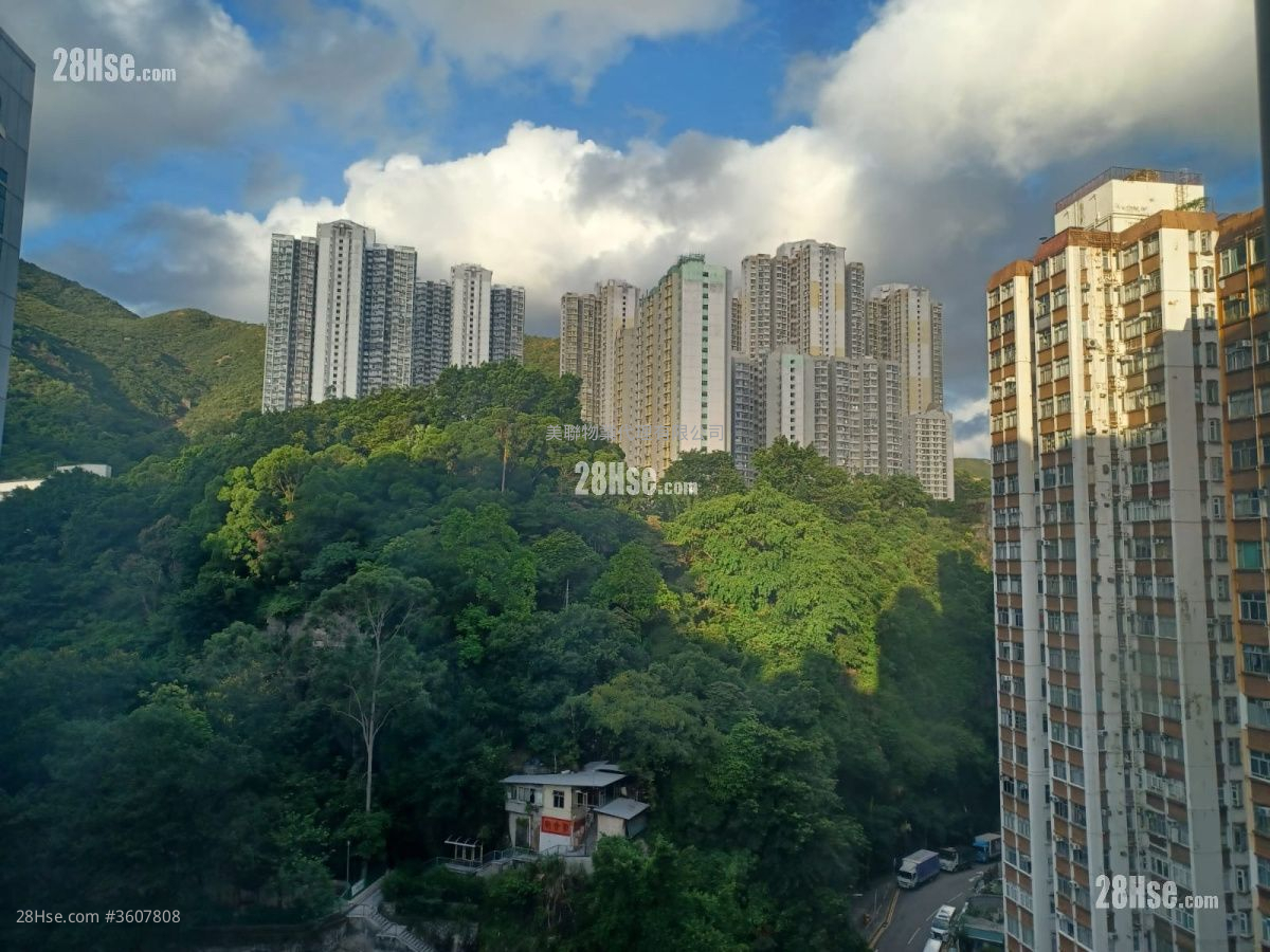 海福花园 售盘 1 房 , 1 浴室 309 平方尺 ( 28.7 平方米 ) 海福花园 售盘 1 房 , 1 浴室 309 平方尺 ( 28.7 平方米 )