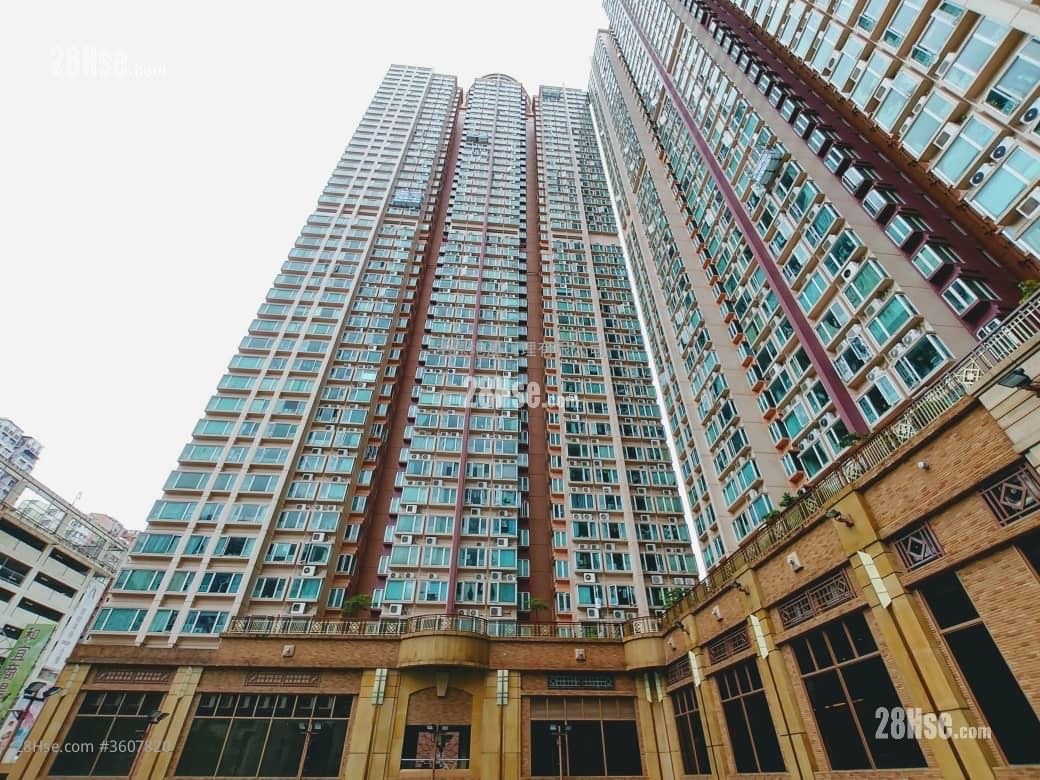 The Apex Rental 1 Bedroom , 1 Bathroom 441 ft² ( 41.0 m² ) The Apex Rental 1 Bedroom , 1 Bathroom 441 ft² ( 41.0 m² )