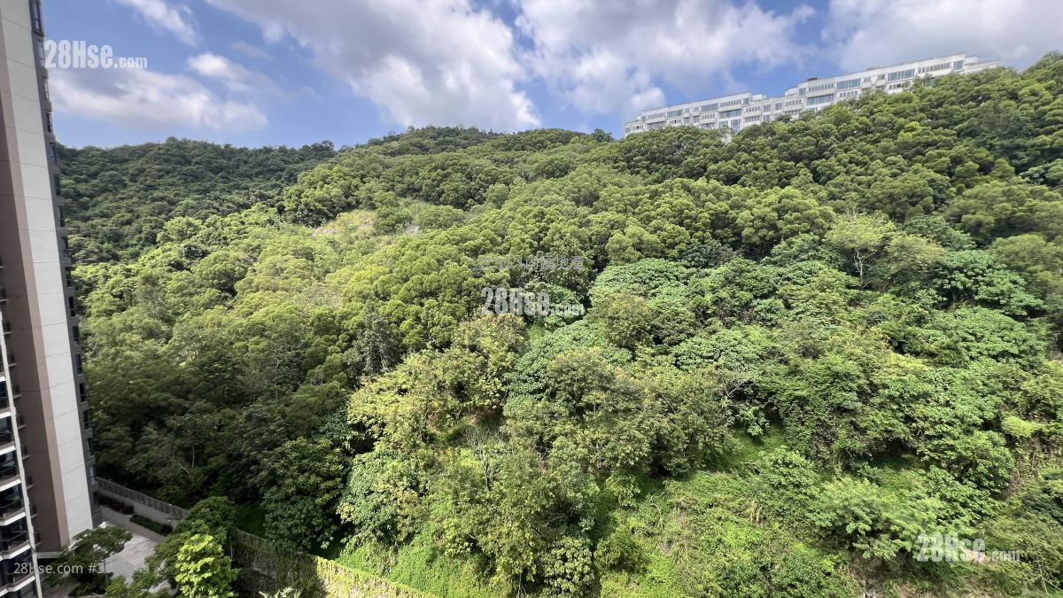 玖珑山 租盘 3 房 , 2 浴室 982 平方尺 ( 91.2 平方米 ) 玖珑山 租盘 3 房 , 2 浴室 982 平方尺 ( 91.2 平方米 )
