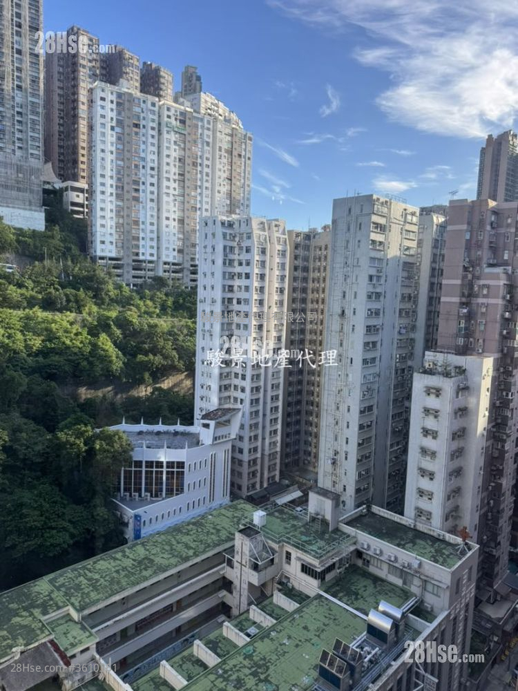 枫林花园 售盘 3 房 , 2 浴室 608 平方尺 ( 56.5 平方米 ) 枫林花园 售盘 3 房 , 2 浴室 608 平方尺 ( 56.5 平方米 )