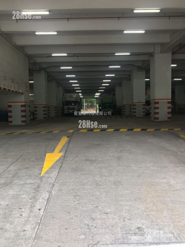 屯门大型专业大仓 租盘 屯门大型专业大仓 租盘