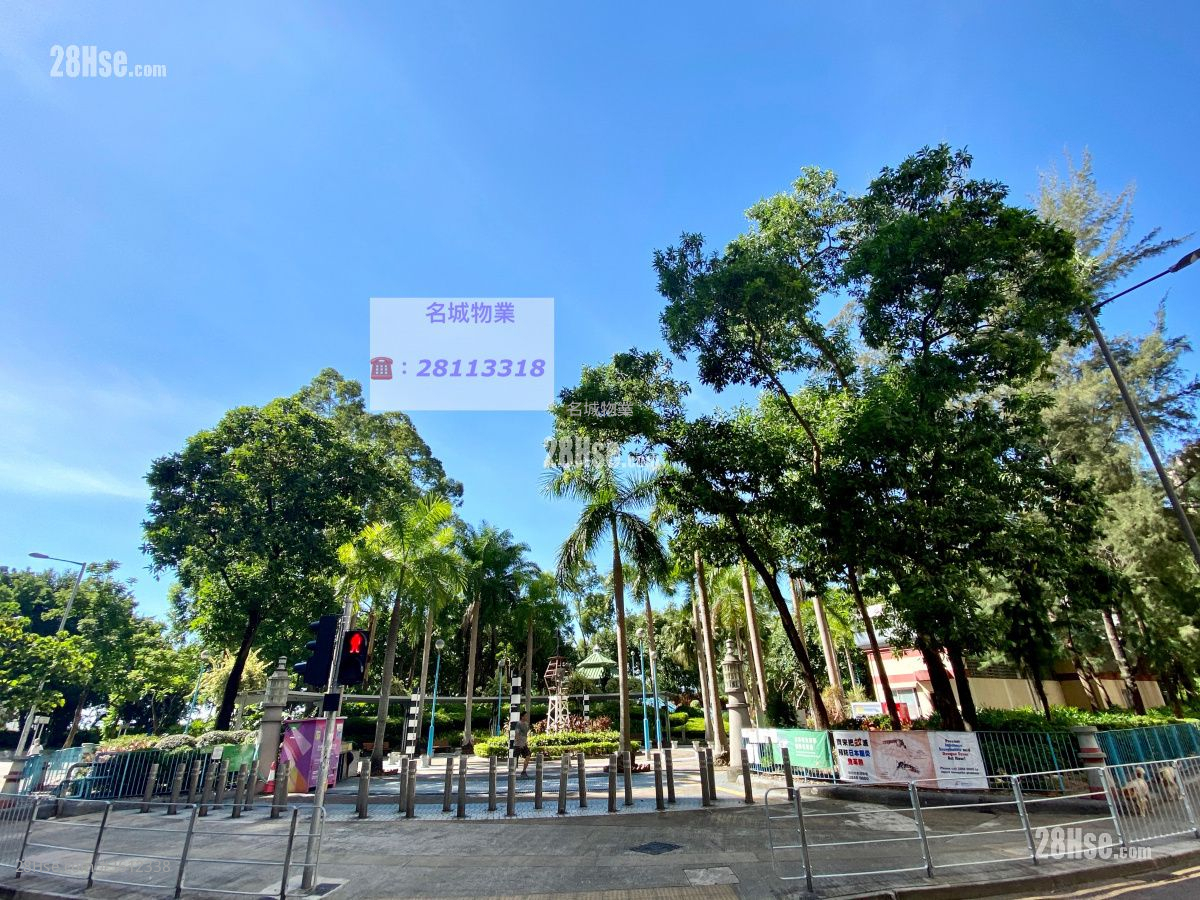 其它: 卑路乍湾公园 其它: 卑路乍湾公园