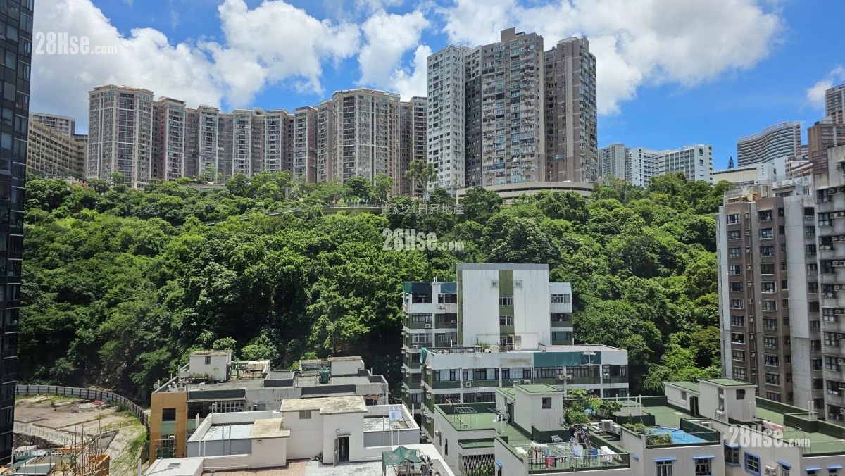 友福园 售盘 2 房 , 1 浴室 393 平方尺 ( 36.5 平方米 )