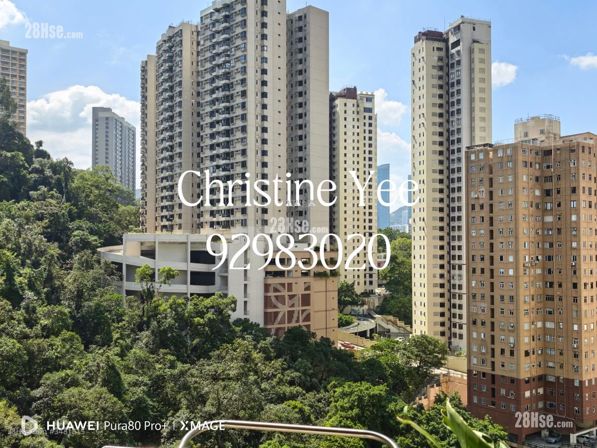 Ronsdale Garden Rental 3 Bedrooms , 2 Bathrooms 976 ft² ( 90.7 m² )