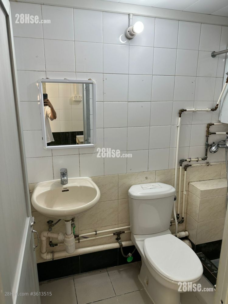 隔田村 租盘 1 房 , 1 浴室 335 平方尺 ( 31.1 平方米 ) 隔田村 租盘 1 房 , 1 浴室 335 平方尺 ( 31.1 平方米 )