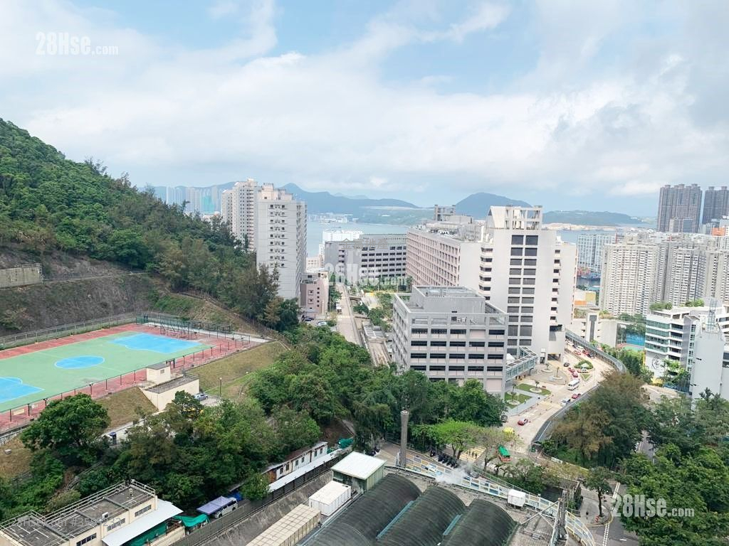 山翠苑 租盘 2 房 379 平方尺 ( 35.2 平方米 )