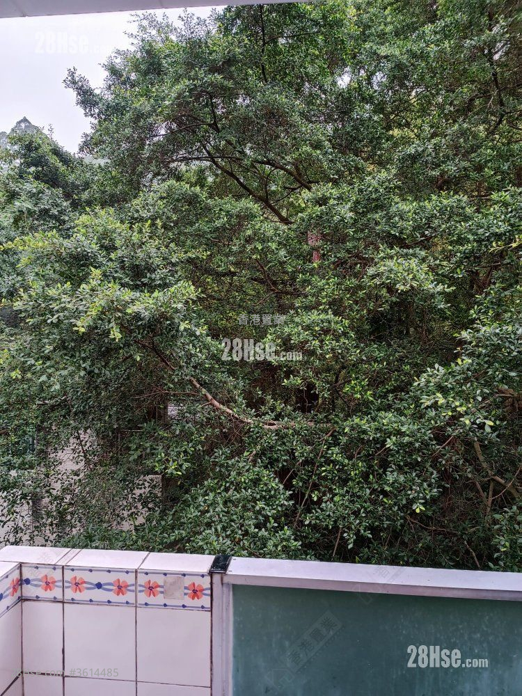 浣纱街11A号 租盘 2 房 , 1 浴室 638 平方尺 ( 59.3 平方米 ) 浣纱街11A号 租盘 2 房 , 1 浴室 638 平方尺 ( 59.3 平方米 )