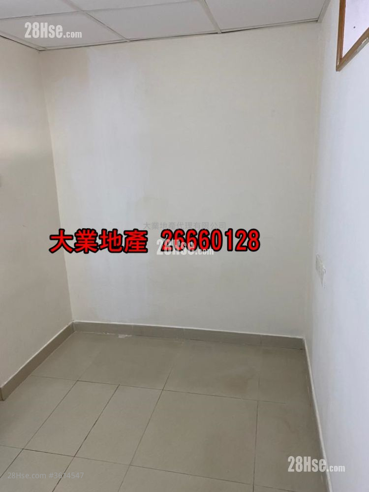 唐楼 售盘 4 房 , 4 浴室 803 平方尺 ( 74.6 平方米 ) 唐楼 售盘 4 房 , 4 浴室 803 平方尺 ( 74.6 平方米 )