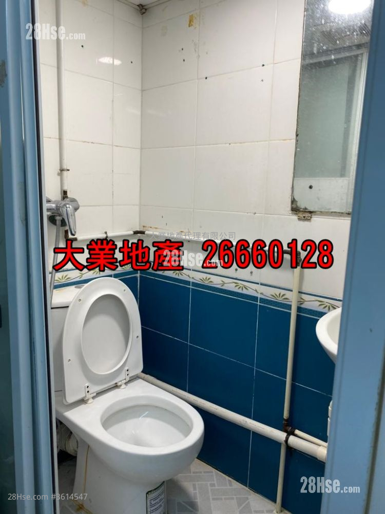 唐楼 售盘 4 房 , 4 浴室 803 平方尺 ( 74.6 平方米 ) 唐楼 售盘 4 房 , 4 浴室 803 平方尺 ( 74.6 平方米 )