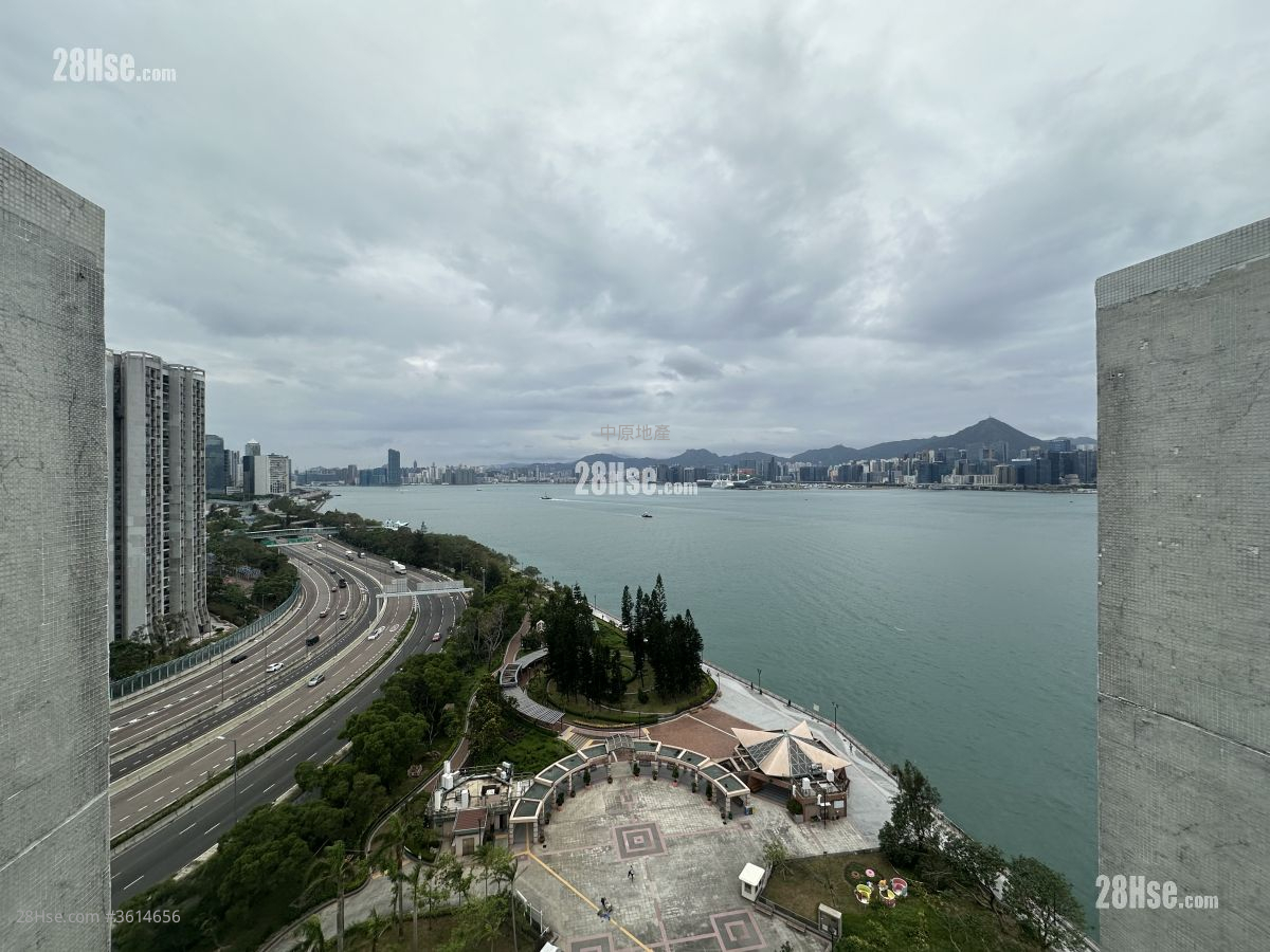 鲤景湾 租盘 2 房 , 1 浴室 532 平方尺 ( 49.4 平方米 ) 鲤景湾 租盘 2 房 , 1 浴室 532 平方尺 ( 49.4 平方米 )