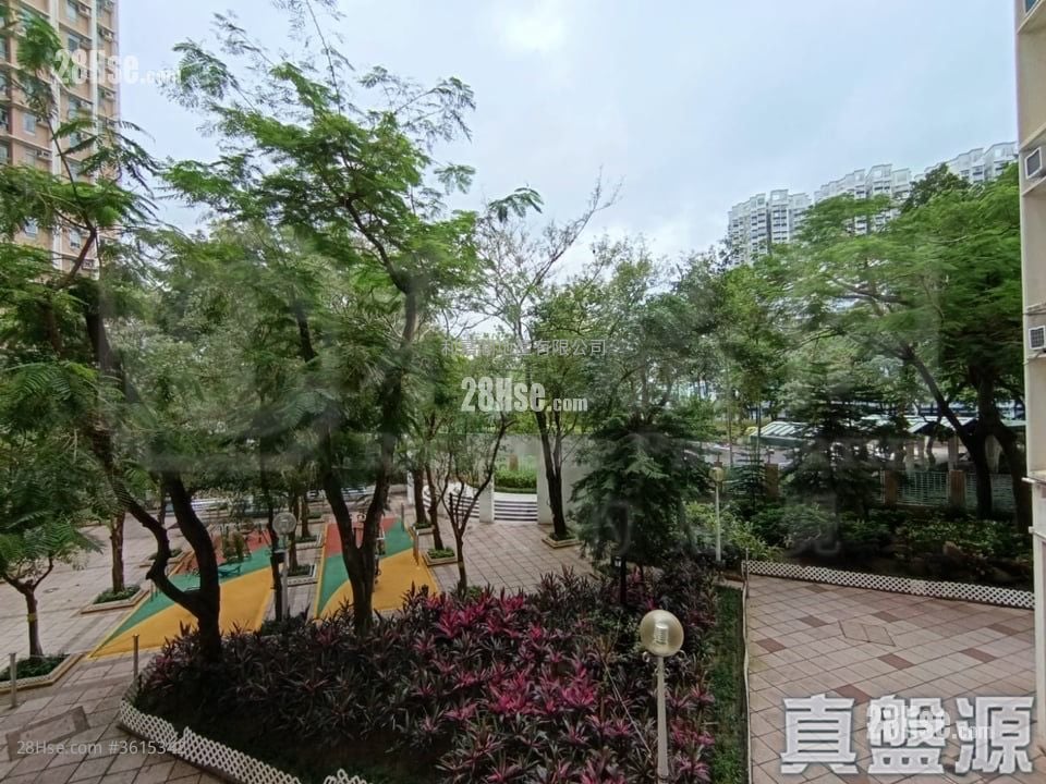 Tin Shing Court Sell 3 Bedrooms 650 ft² ( 60.4 m² ) Tin Shing Court Sell 3 Bedrooms 650 ft² ( 60.4 m² )