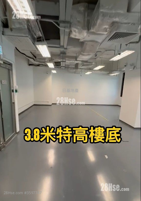The 80 20 Rental