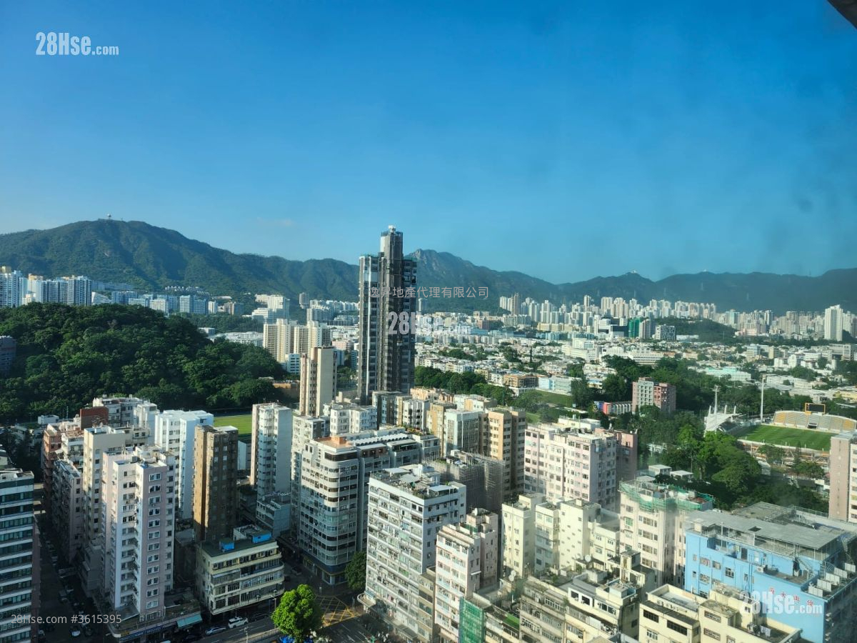 别树华轩 售盘 1 房 , 1 浴室 267 平方尺 ( 24.8 平方米 ) 别树华轩 售盘 1 房 , 1 浴室 267 平方尺 ( 24.8 平方米 )