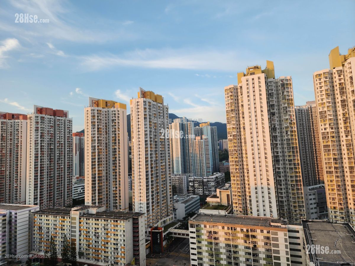 Belgravia Place 售盘 1 房 264 平方尺 ( 24.5 平方米 ) Belgravia Place 售盘 1 房 264 平方尺 ( 24.5 平方米 )