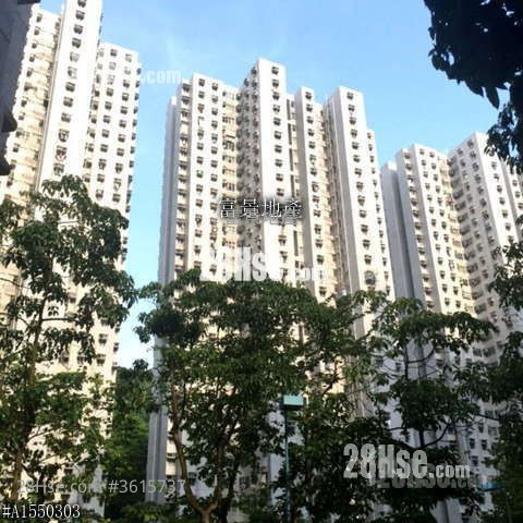 大厦外观: 富景花园 售盘 3 房 592 平方尺 ( 55.0 平方米 ) 大厦外观: 富景花园 售盘 3 房 592 平方尺 ( 55.0 平方米 )