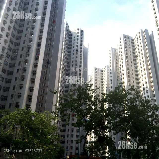 富景花园 售盘 3 房 592 平方尺 ( 55.0 平方米 ) 富景花园 售盘 3 房 592 平方尺 ( 55.0 平方米 )