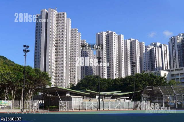 大厦外观: 富景花园 售盘 3 房 592 平方尺 ( 55.0 平方米 ) 大厦外观: 富景花园 售盘 3 房 592 平方尺 ( 55.0 平方米 )