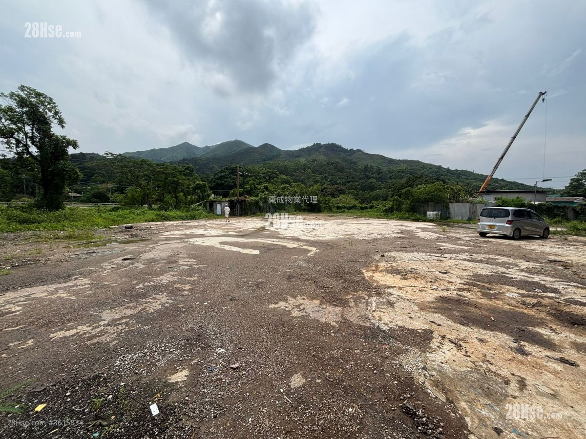 元朗八乡 租盘 30,000 平方尺 ( 2,787.1 平方米 ) 元朗八乡 租盘 30,000 平方尺 ( 2,787.1 平方米 )