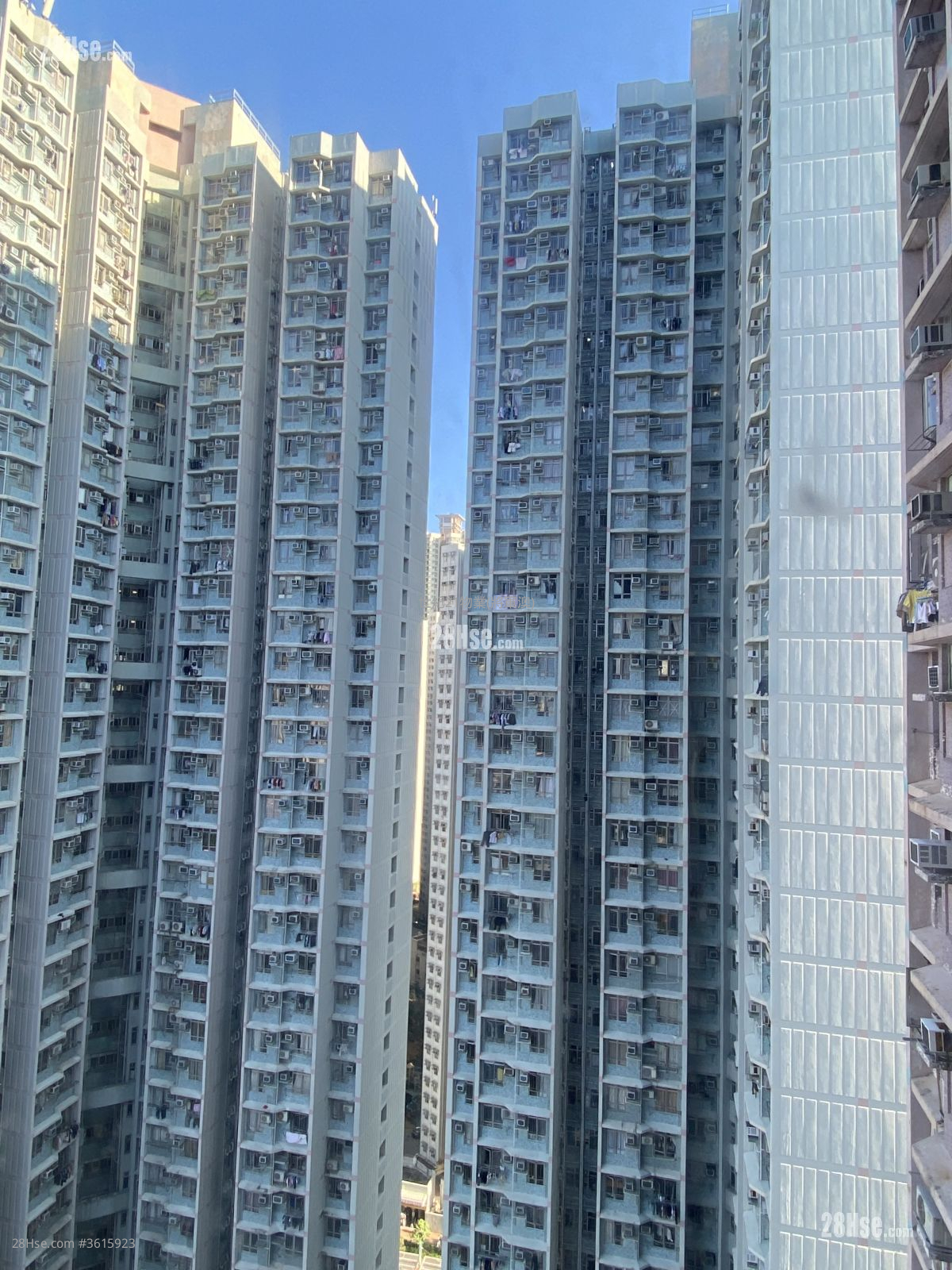 广明苑 售盘 535 平方尺 ( 49.7 平方米 ) 广明苑 售盘 535 平方尺 ( 49.7 平方米 )