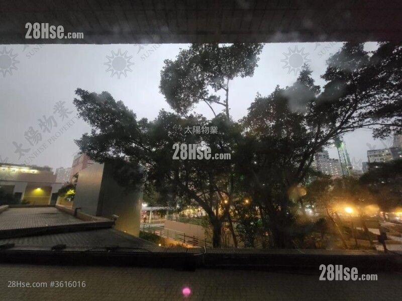 半岛豪庭 售盘 3 房 677 平方尺 ( 62.9 平方米 ) 半岛豪庭 售盘 3 房 677 平方尺 ( 62.9 平方米 )