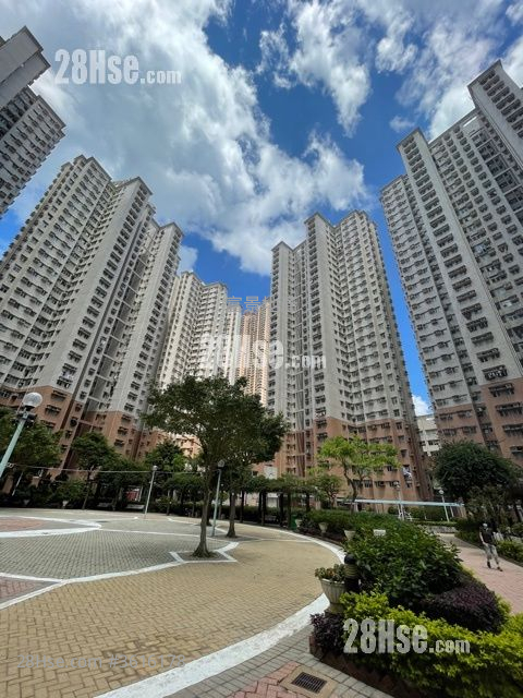 富欣花园 租盘 2 房 484 平方尺 ( 45.0 平方米 ) 富欣花园 租盘 2 房 484 平方尺 ( 45.0 平方米 )